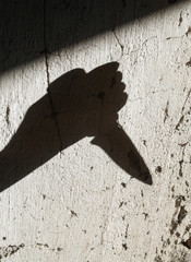 Shadow of the hand holding a knife