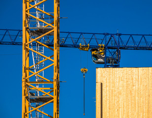 Yellow Crane and Blue Sky 2