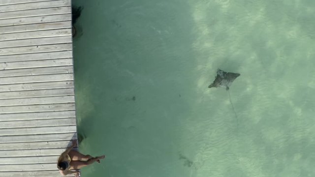 Aerial top view of stingray swimming near woman sitting on pier, tourist relaxing over sea - Coco Plum Cay, Belize