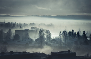 Fototapeta premium Sunrise in the Morning Mist