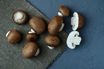 Fresh brown champignon mushrooms on vintage textile background and gray concrete slab, copy space.