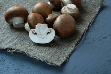 Fresh brown champignon mushrooms on vintage textile background and gray concrete slab, copy space.