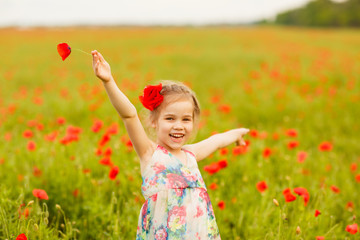Beautiful child picking flowers in poppy field
