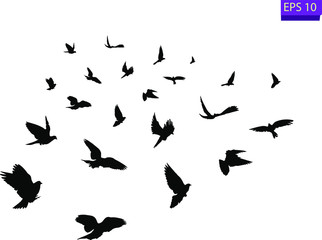 Fototapeta na wymiar Flock of flying birds. Transparent background. silhouette of flying birds. Black vector flying birds flock silhouette. EPS 10