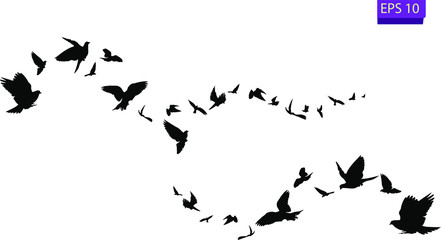 Flock of flying birds. Transparent background. silhouette of flying birds. Black vector flying birds flock silhouette. EPS 10