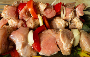 Meat Background with vegetable and onion prepared for shish kebab