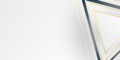 Grey silver abstract luxury background with bronze outlines. Modern abstract light silver background vector. Elegant concept design with golden line.