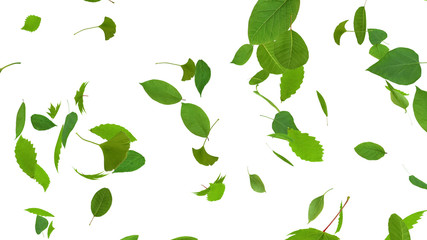 Green Flying leaves leaf 3D illustration background.