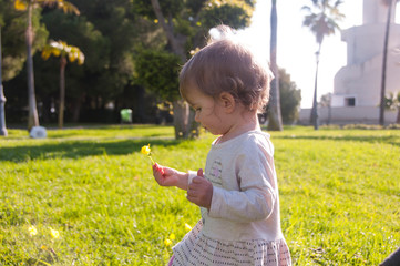 Toddler girl picking yellow flower on a green lawn in a park. Family outing.