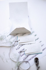 sheet of notes, printed letter, badges on a ribbon, silver plated twigs