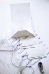 sheet of notes, printed letter, badges on a ribbon, silver plated twigs
