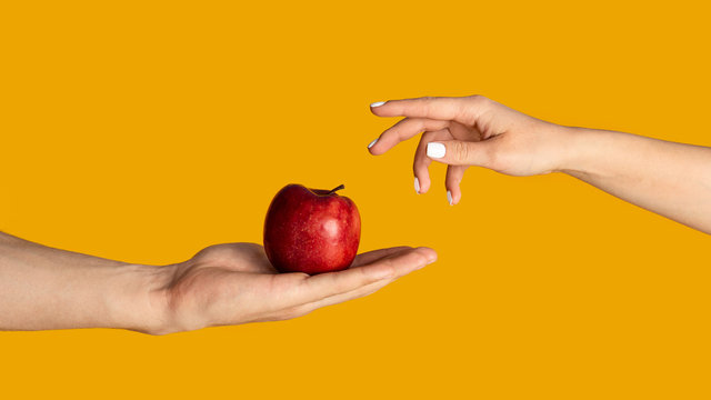 Man and woman with ripe red apple on orange background, closeup of hands. Panorama