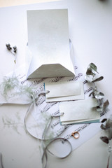 sheet of notes, printed letter, badges on a ribbon, silver plated twigs