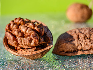 Walnut. Light green background.  Walnut shell. Macro.