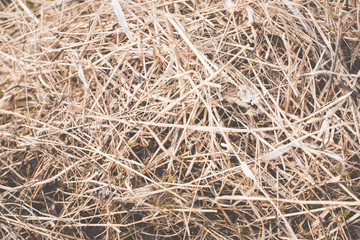 Dry grass after spring work in garden. Selective focus.