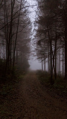 Obraz premium Weg in Nichts