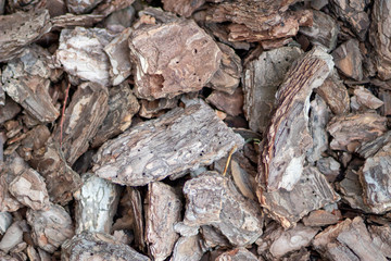 Background of pine bark chips in close-up. Pine bark for decorative garden decoration