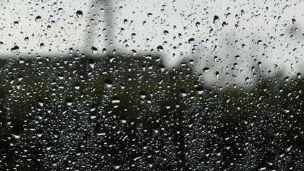 Fototapeta Krople deszczu, po burzy. obraz