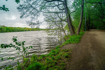 Rusalka lake in Poznan (Posen), Poland. Beautiful natural landscape. Path in the forest.