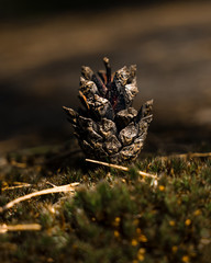 Photos made with love most photos have been taking in Finland