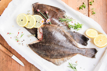 Fisch Scholle Flunder roh 