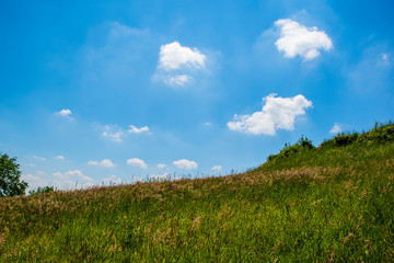 Fototapeta na wymiar green meadow with 3 white clouds