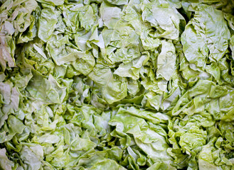 Fresh and green lettuce in the organic bazaar