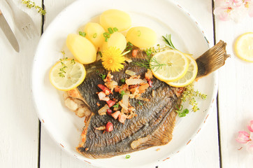 Scholle Maischolle Mai gebraten mit Speck Zwiebeln und Kartoffeln Salzkartoffeln Overhead View Top...