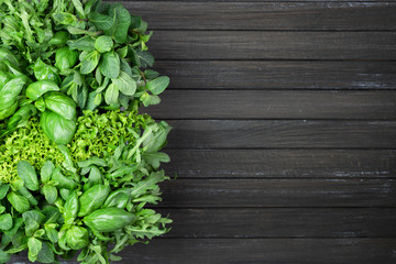 Fresh fragrant green variety of herbs on a dark brown wooden background. basil, cilantro, peppermint, spinach, salad, arugula. copy space, flat lay