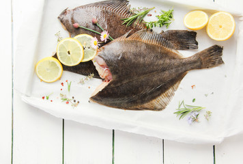 Fisch Scholle overhead Maischolle roh freiraum 