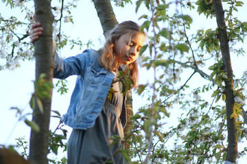 Portrait of a young blonde girl climbing in a tree  at sunset