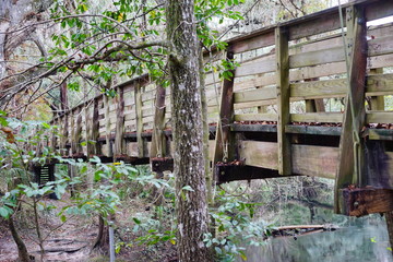 Hillsborough river state park at Tampa, Florida	