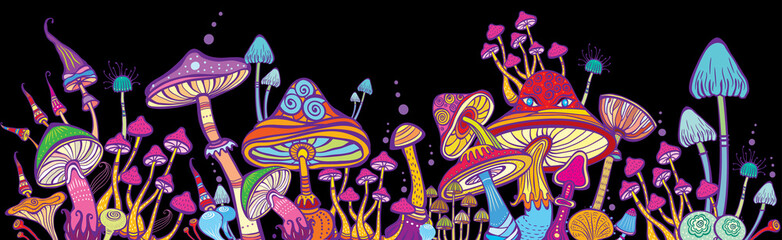 Horizontal banner Groups of decorative mushrooms