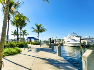 Yachts docked in Fort Lauderdale