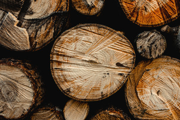 Naklejka premium Close up of logs, oak wood grain. Stacked trunk. Fill the frame for wallpaper.