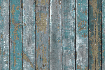 Old wooden blue slats with faded paint background. Vertical narrow boards close up. Texture of blue paint on a wooden surface of the fence. Grunge retro background.