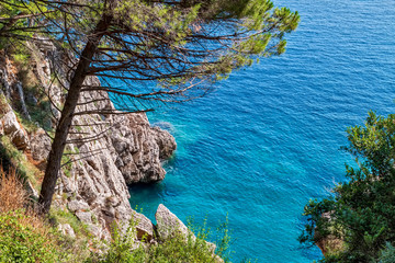 Rocks, forest and sea. Adriatic Sea