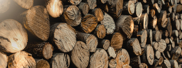 Pile of wood forming a wall. Timber as background. Chopped logs. Fill the frame.