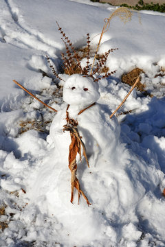 Snow Goddess In The Backyard - Female Snowman