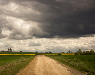 road in the field