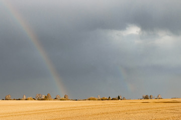 Rainbow on a dark sky above a field with dry grass in the sunlight.