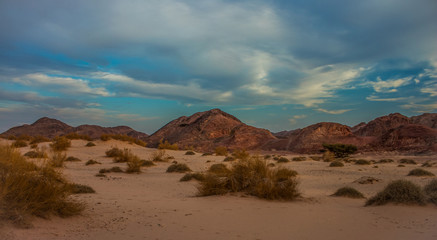 evening desert sand mountain tumbleweed scenery landscape view Western USA