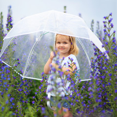 little girl with umbrella in field purple flowers