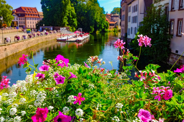 Fototapeta na wymiar Flowers above the Ill river. Strasbourg, Alsace, France.