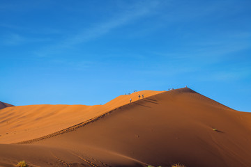 Fototapeta na wymiar Grandiose paintings of sand dunes