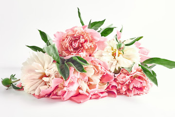 a bouquet of pink peonies on a light background. summer flowers