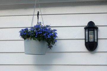 Bonita pared de una casa de madera con su farol y maceta de flores azules