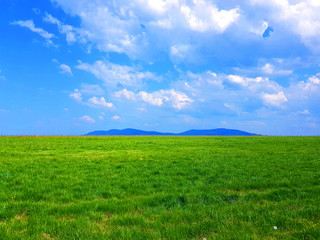 Obraz premium Landscape with clean meadow and hill in the background wallpaper