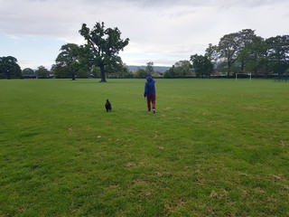 Boy with dog in park