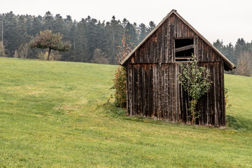 Obraz premium Wood house and field with forest in background around Calw village